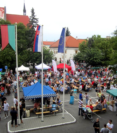 Fyzulnačka v roku 2013