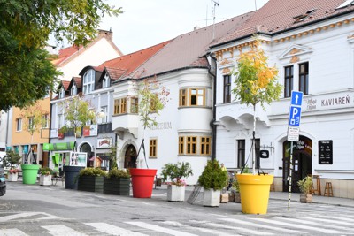 Premiestnenie kvetináčov zo Štefánikovej ulice